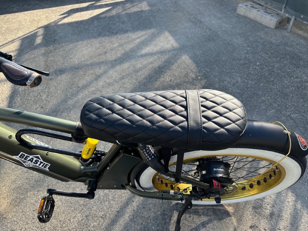 E-Bike kaufen: E-BIKE Mobygo Colonel Racer Occasion