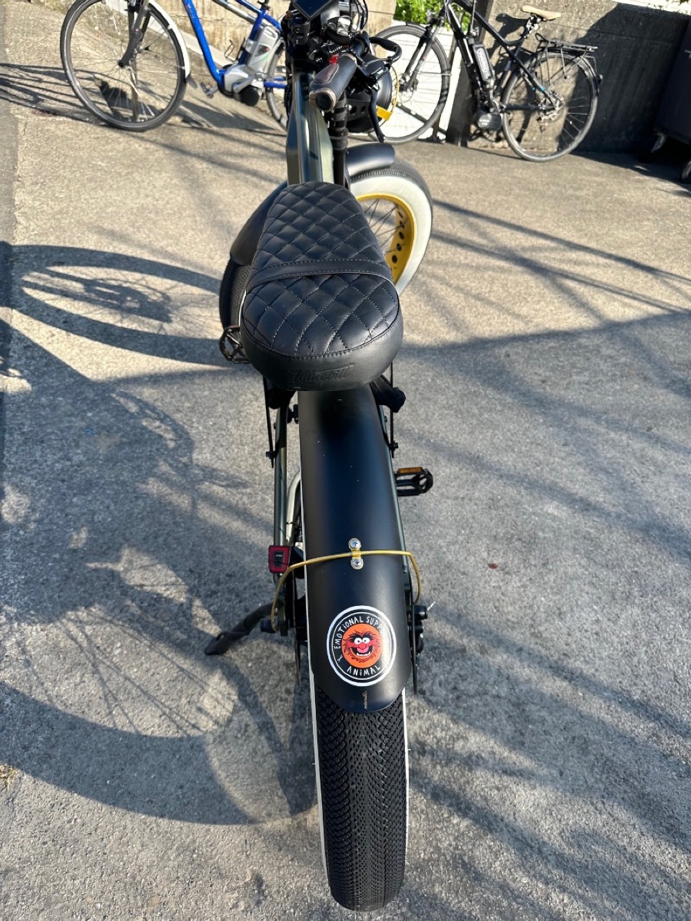 E-Bike kaufen: E-BIKE Mobygo Colonel Racer Occasion