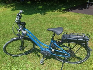 E-Bike kaufen: IBEX IBEX Citybike Comfort Damen  Occasion