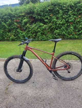  Mountainbike kaufen: GIANT Fanthom Occasion