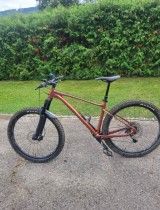 Bikes Mountainbike GIANT Fanthom