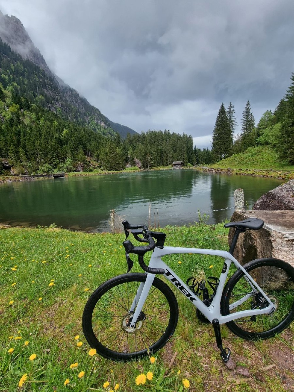 Vélo de course kaufen: TREK Domane SL 7 Occasion