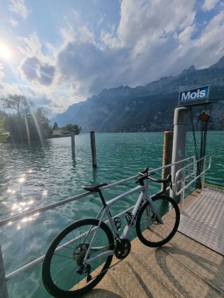  Vélo de course kaufen: TREK Domane SL 7 Occasion