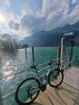 Bikes Rennvelo TREK Domane SL 7