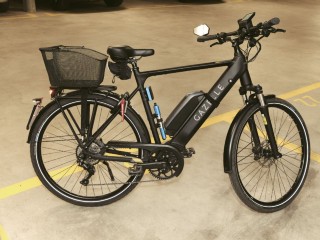 E-Bike kaufen: GAZELLE Medeo T10 HMB Speed Occasion