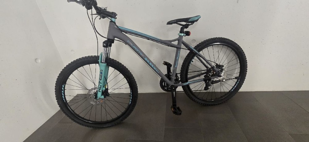 Mountainbike kaufen: CALIFORNIA Santa Monica Occasion