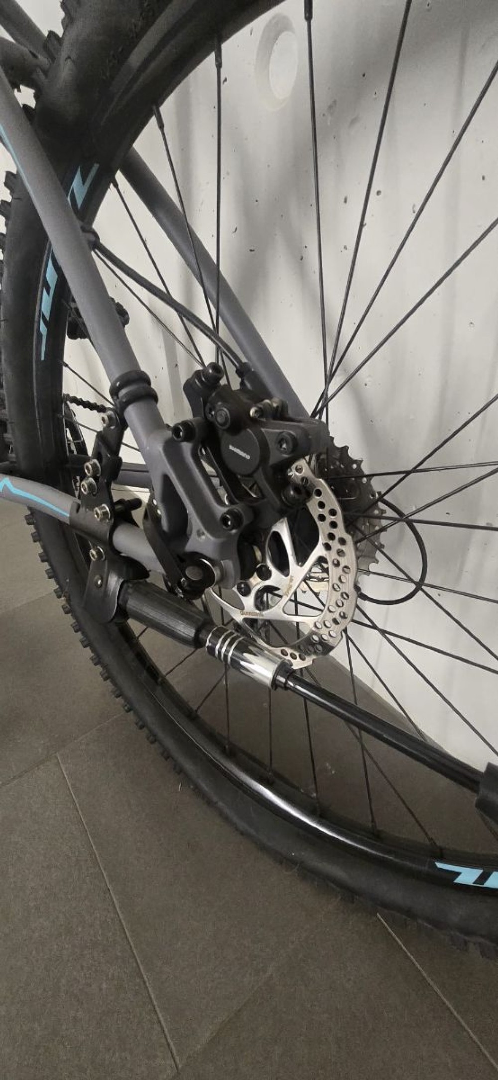 Mountainbike kaufen: CALIFORNIA Santa Monica Occasion