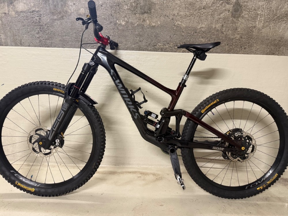 Vélo tout terrain kaufen: SPECIALIZED Enduro s-works Custome Occasion