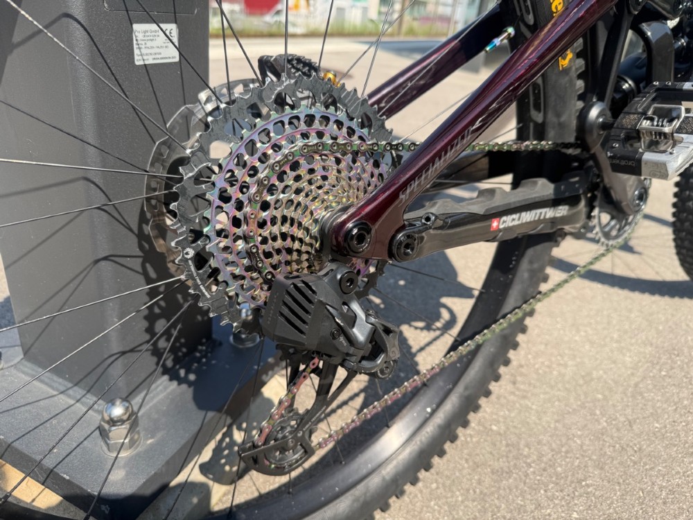 Vélo tout terrain kaufen: SPECIALIZED Enduro s-works Custome Occasion