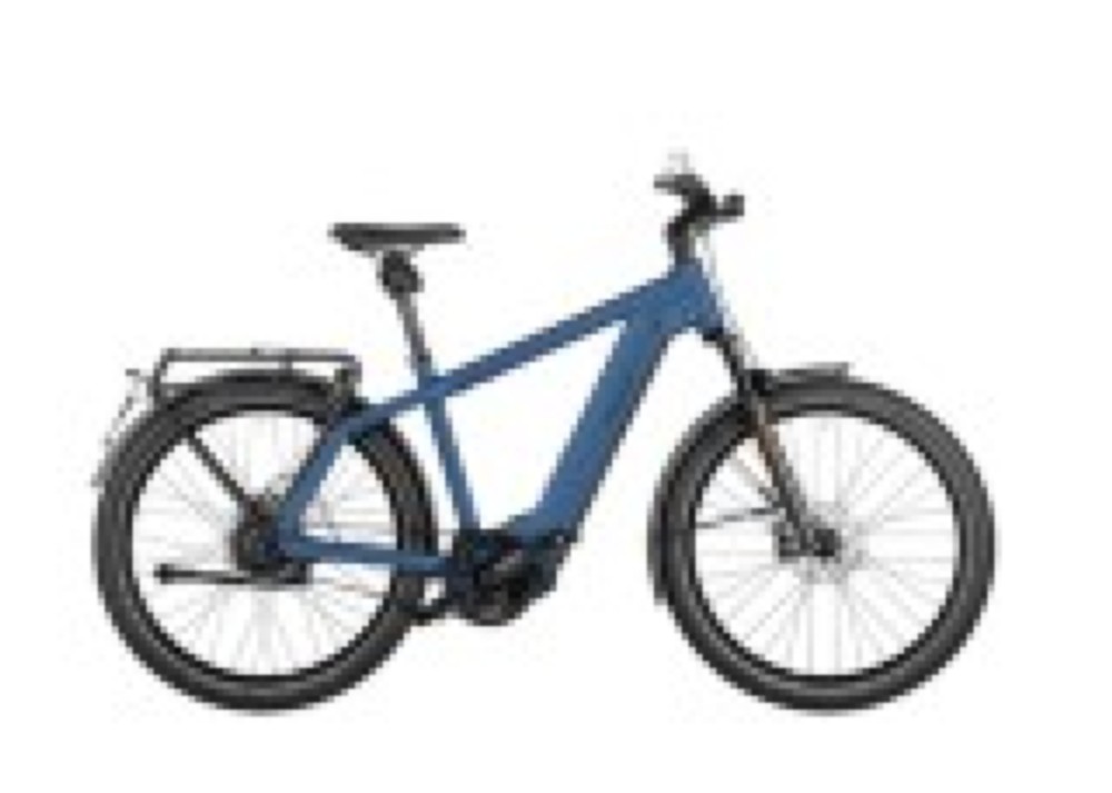 E-Bike kaufen: RIESE & MÜLLER Charger4 GT HS Occasion