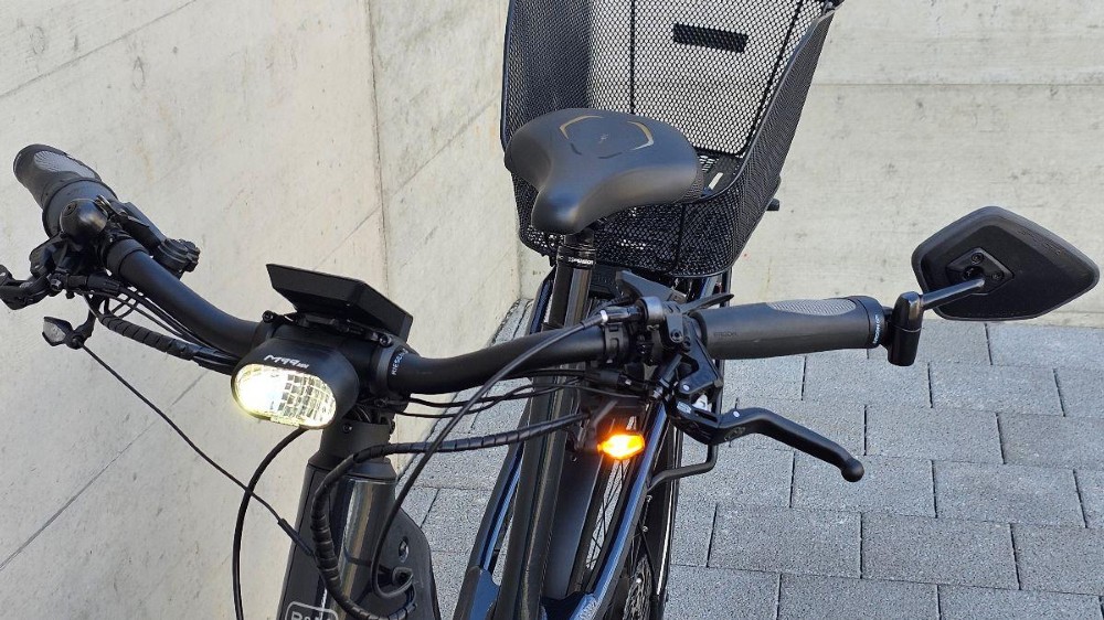 E-Bike kaufen: RIESE & MÜLLER Homage GT vario HS Occasion