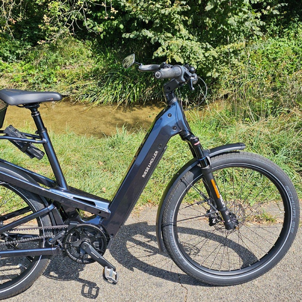 E-Bike kaufen: RIESE & MÜLLER Homage GT vario HS Occasion