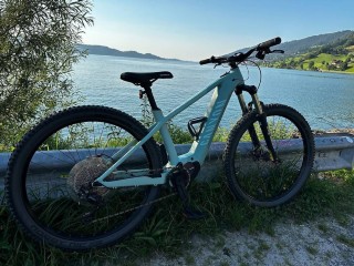 E-Bike kaufen: CANYON Grand Canyon No 7 Occasion