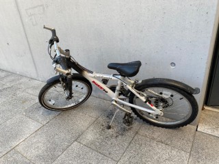  Vélo pour enfants kaufen: CALIFORNIA Buzz 20 Occasion