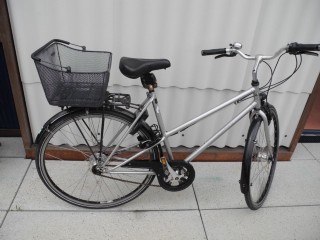  Citybike kaufen: AARIOS Spider Rohloff Occasion