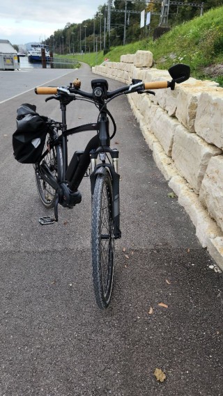 E-Bike kaufen: FLYER Flyer, TS 7.30 HS 16 Occasion