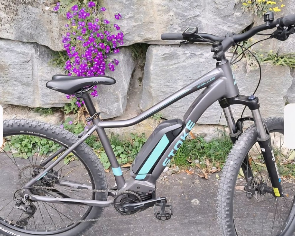 Gross Inserate Image