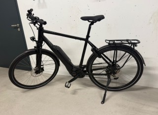 E-Bike kaufen: RIESE & MÜLLER Rückenwind 25 Occasion