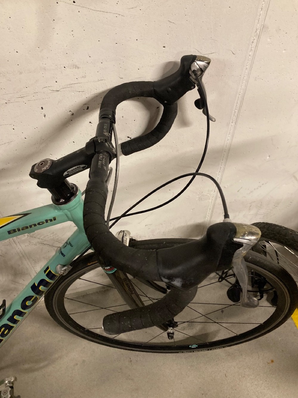 Rennvelo kaufen: BIANCHI XL EV2 Occasion