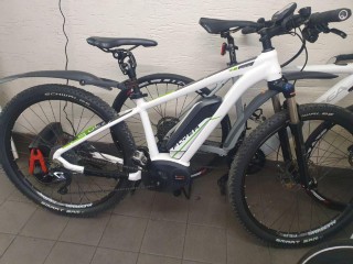 E-Bike kaufen: FLYER Goroc Occasion
