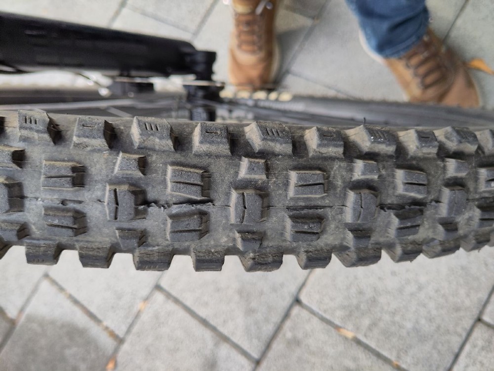 E-Bike kaufen: MONDRAKER Dune R Occasion