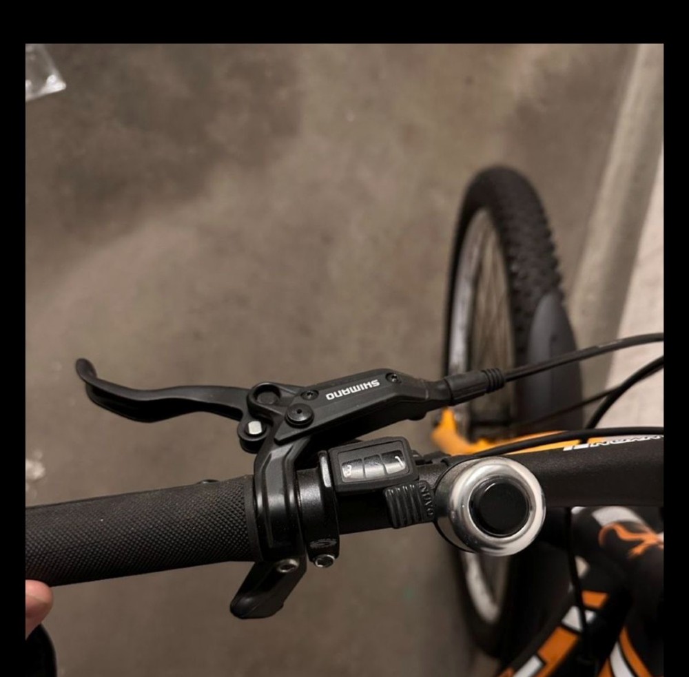 Mountainbike kaufen: CANYON Swiss Designed speed 57 Occasion