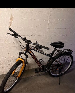  Mountainbike kaufen: CANYON Swiss Designed speed 57 Occasion