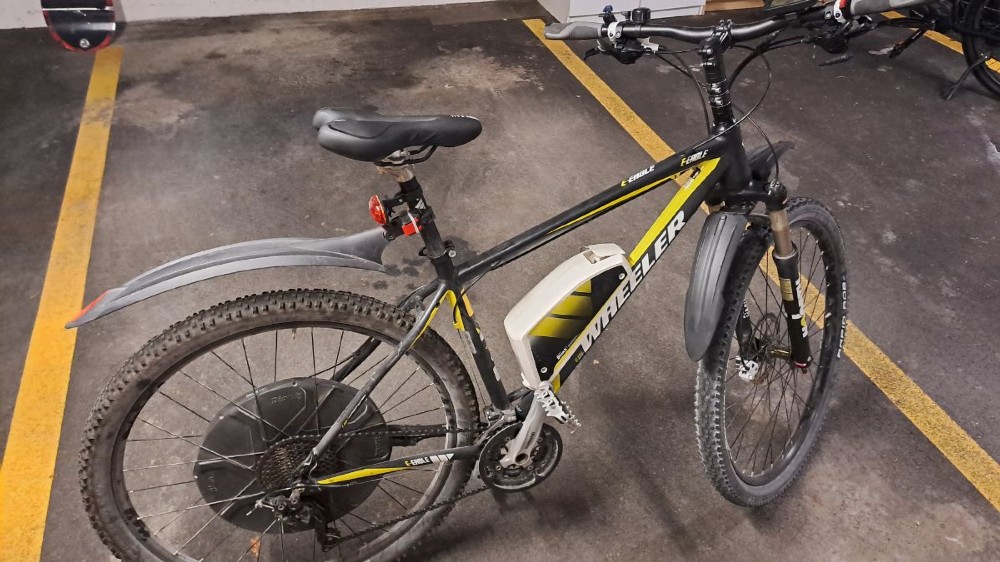 E-Bike kaufen: WHEELER E-Eagle  Occasion