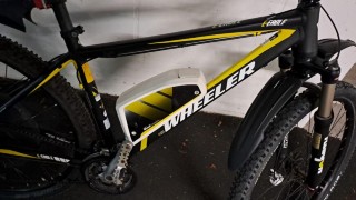 E-Bike kaufen: WHEELER E-Eagle  Occasion