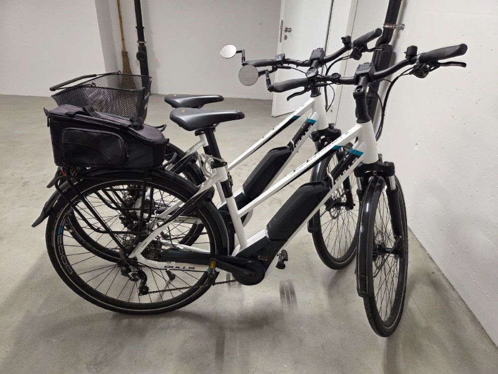E-Bike kaufen: BULLS Cross Mover E2 Occasion