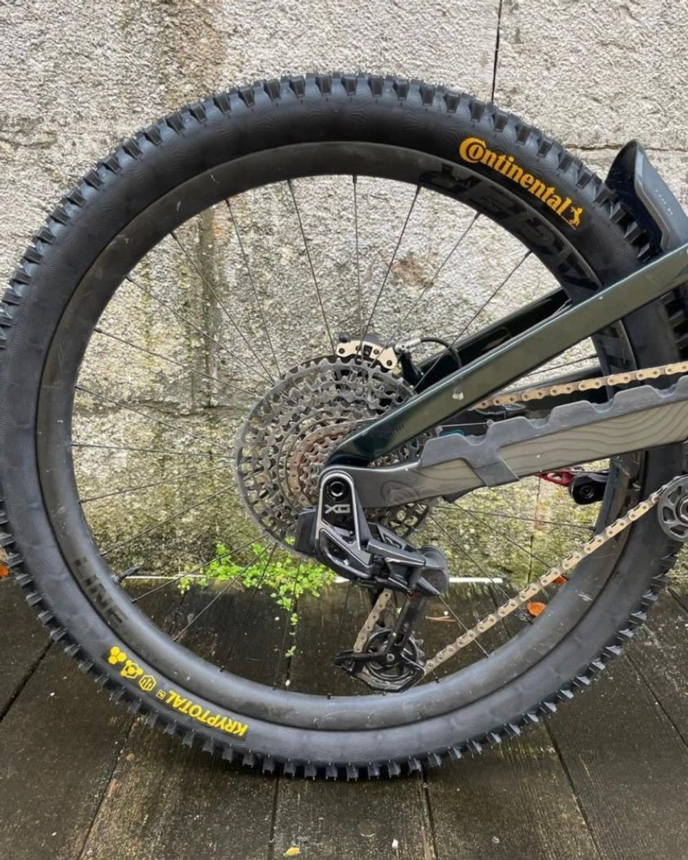 Gross Inserate Image