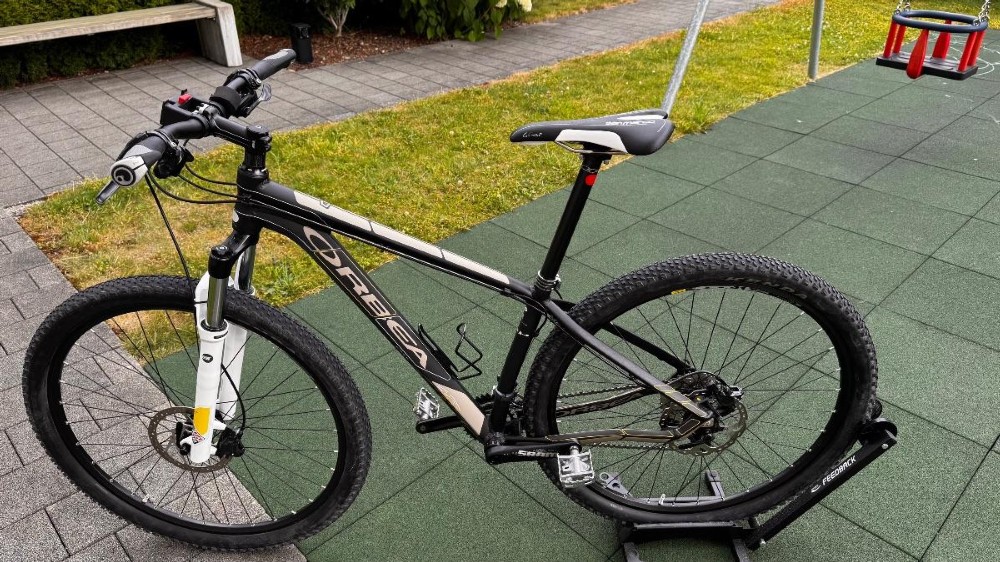 Mountainbike kaufen: ORBEA ALMA  Occasion
