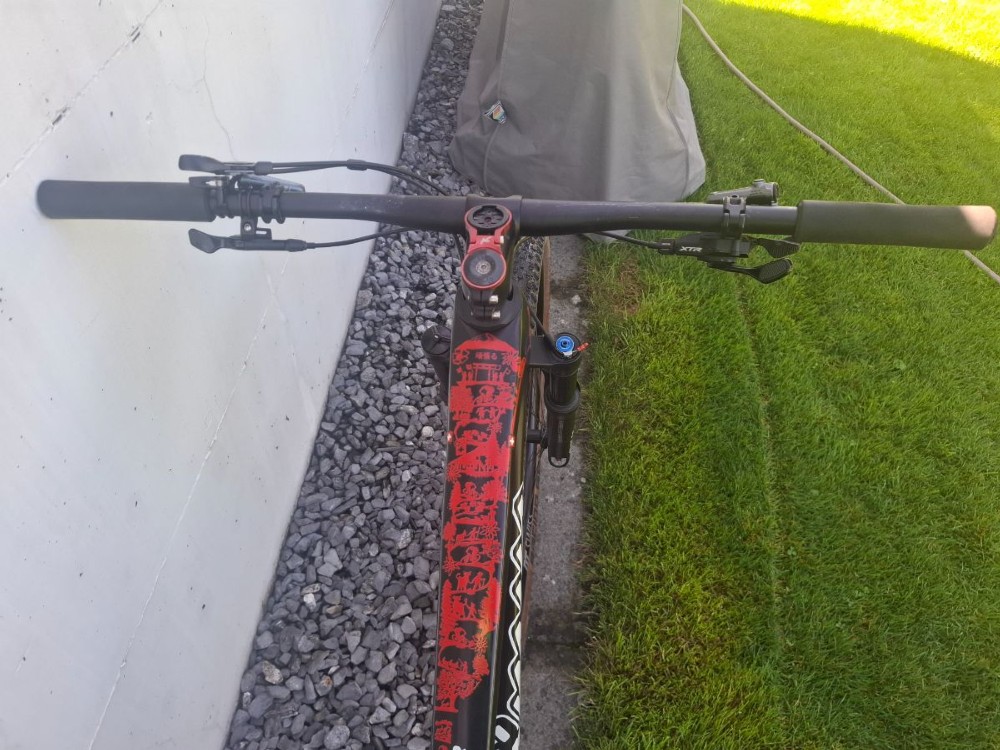 Mountainbike kaufen: THÖMUS Lightrider Tokyo ganbaru  Occasion