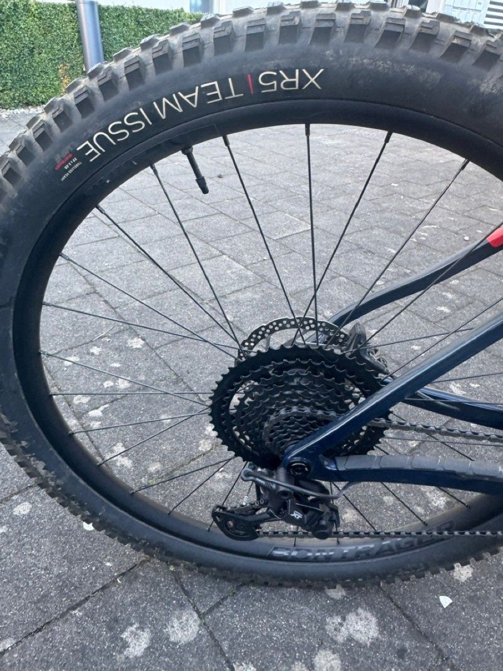 Vélo tout terrain kaufen: TREK Procaliber 9.6 Occasion