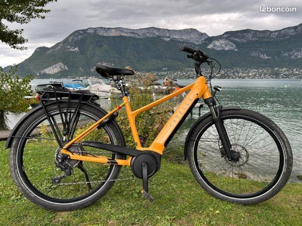 E-Bike kaufen: GAZELLE Medeo 10 Ecran Purion Occasion