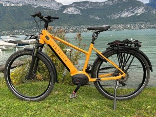 E-Bike kaufen: GAZELLE Medeo 10 Ecran Purion Occasion