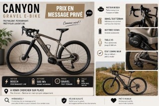 E-Bike kaufen: CANYON 1CXe Nouveau