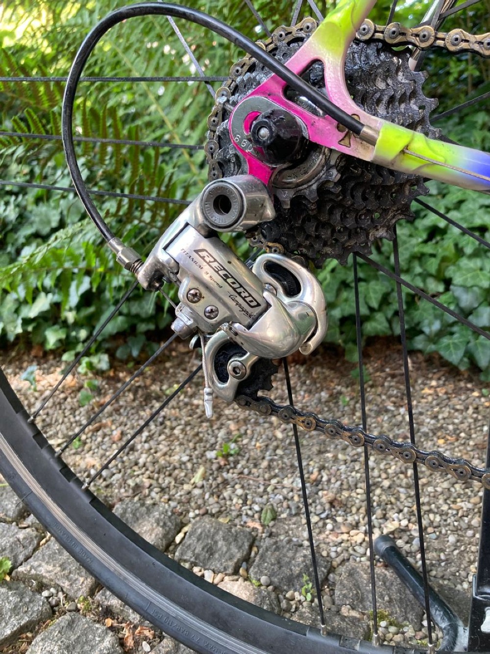 Rennvelo kaufen: COLNAGO Master Olympic Occasion