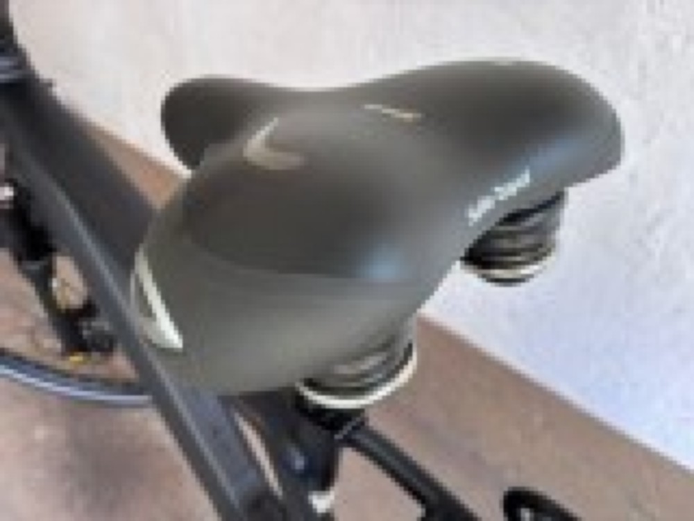 E-Bike kaufen: RIESE & MÜLLER Charger4 Mixte GT Touring  Occasion