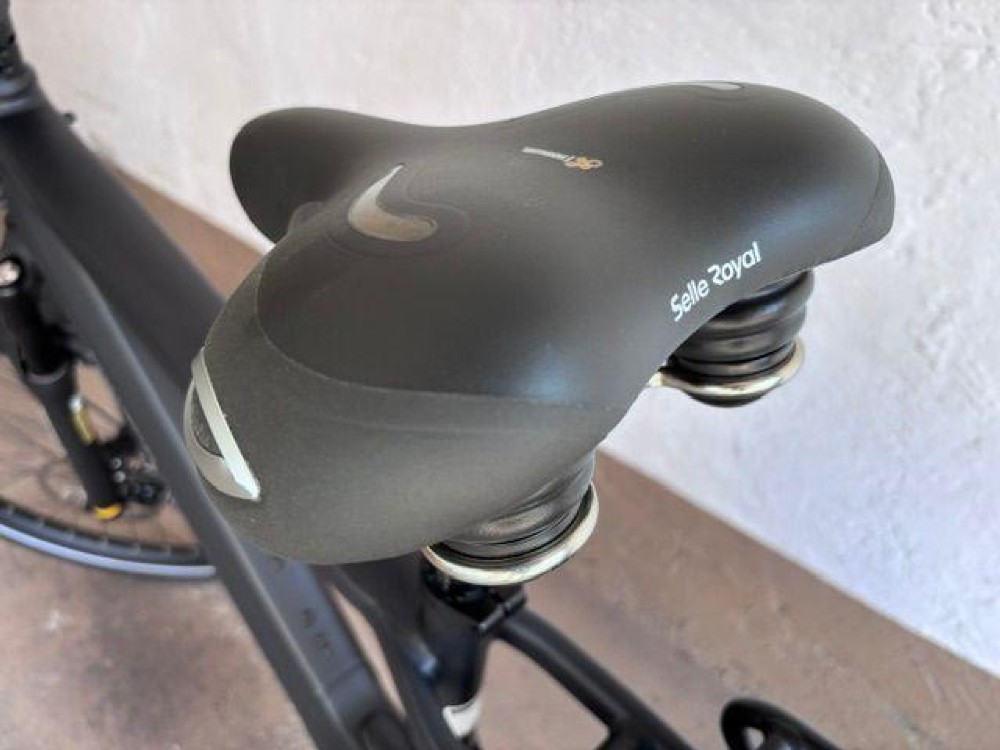 E-Bike kaufen: RIESE & MÜLLER Charger4 Mixte GT Touring  Occasion