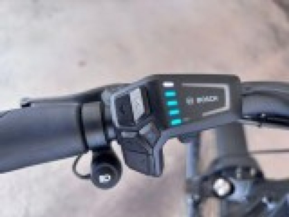 E-Bike kaufen: RIESE & MÜLLER Charger4 Mixte GT Touring  Occasion