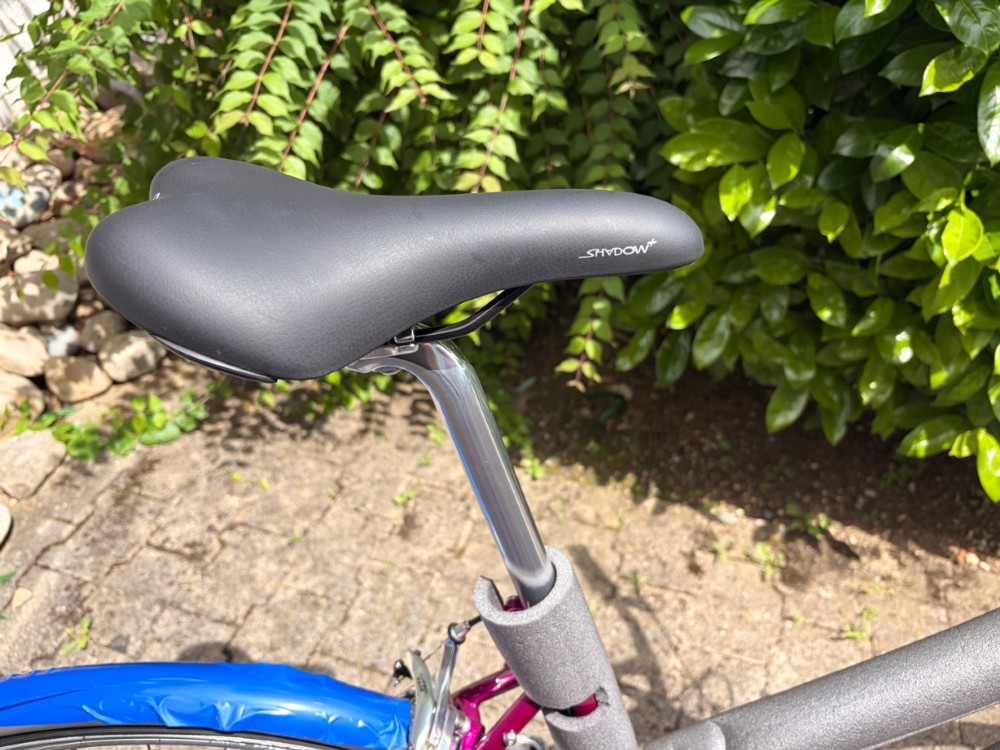 Citybike kaufen: DESIGNBIKE Citybike Lola Neu
