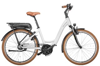 E-Bike kaufen: RIESE & MÜLLER Swing Vario 25 Neu