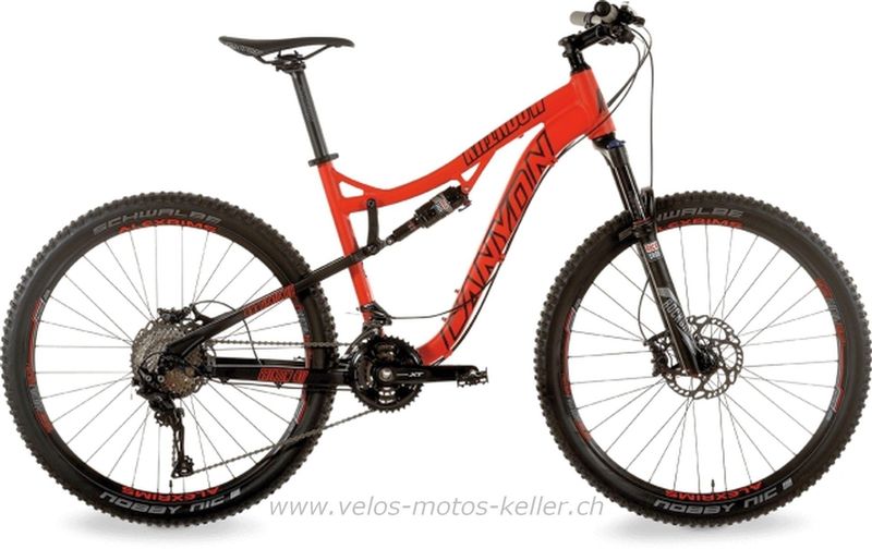Mountainbike kaufen: CANYON CA 1625.17 RAINBOW FS 17 Neu