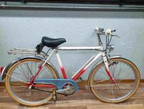  Citybike kaufen: ALLEGRO KINDERFAHRRAD Neu