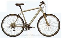  Citybike kaufen: CENTURION CROSS LINE Neu