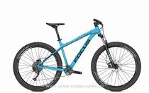 Mountainbike kaufen: FOCUS BOLD EVO Neu