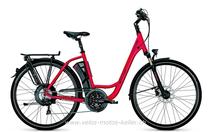 E-Bike kaufen: RALEIGH STOKER X5 Neu