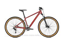 Bikes Mountainbike FOCUS WHISTLER 3.7