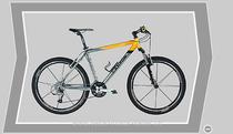  Mountainbike kaufen: CANYON CA 0308 CROSS Neu